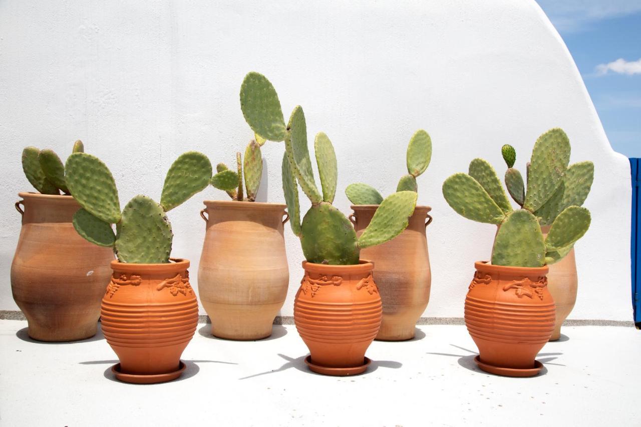 Amphora Villas Santorini Akrotiri Akrotírion Zewnętrze zdjęcie